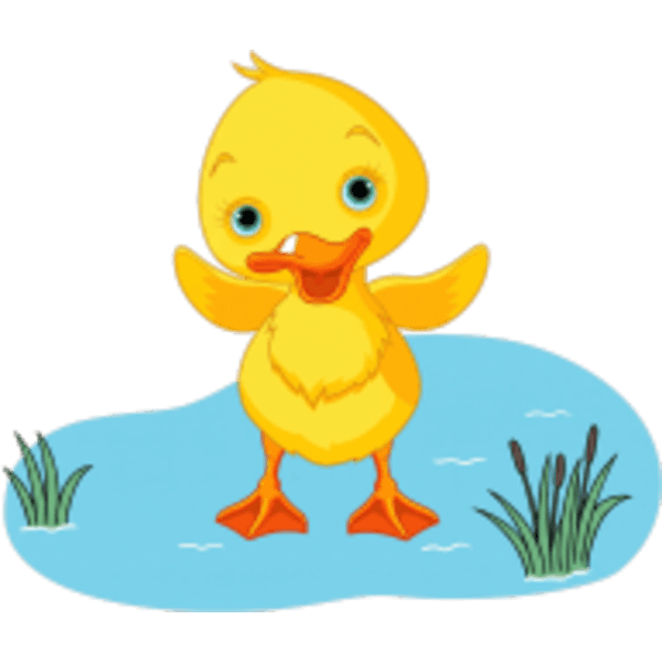Duckling splashing in water